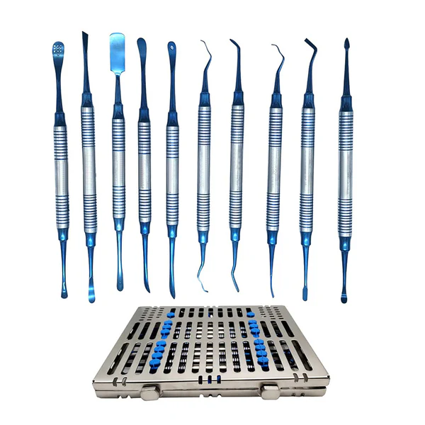 Periosteal Elevators Kit 10 pcs periosteum elevator all designs in one set